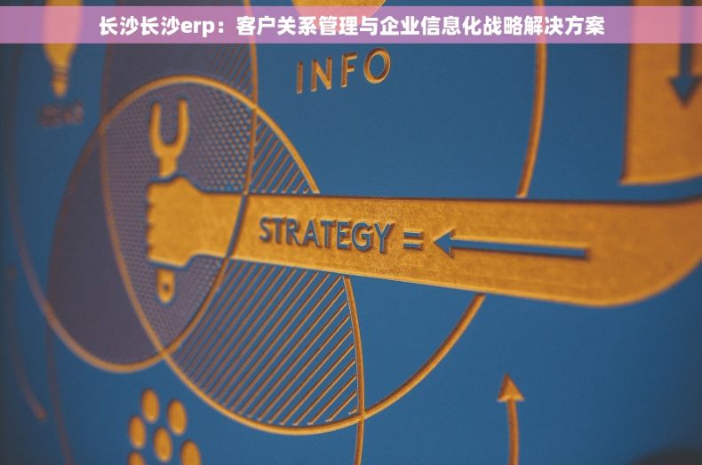 长沙长沙erp：客户关系管理与企业信息化战略解决方案