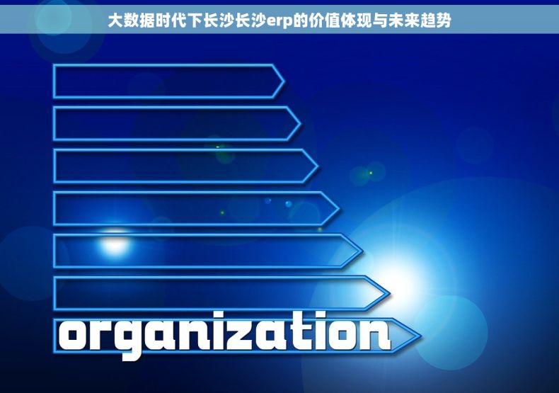 大数据时代下长沙长沙erp的价值体现与未来趋势