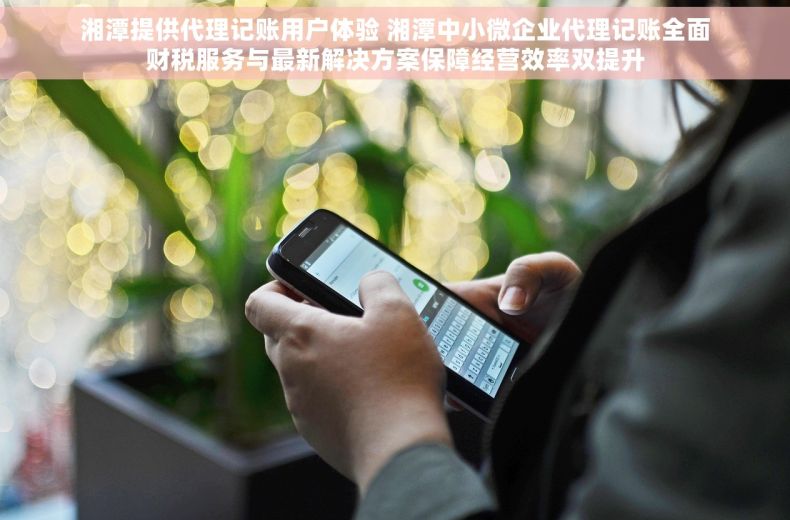 湘潭提供代理记账用户体验 湘潭中小微企业代理记账全面财税服务与最新解决方案保障经营效率双提升
