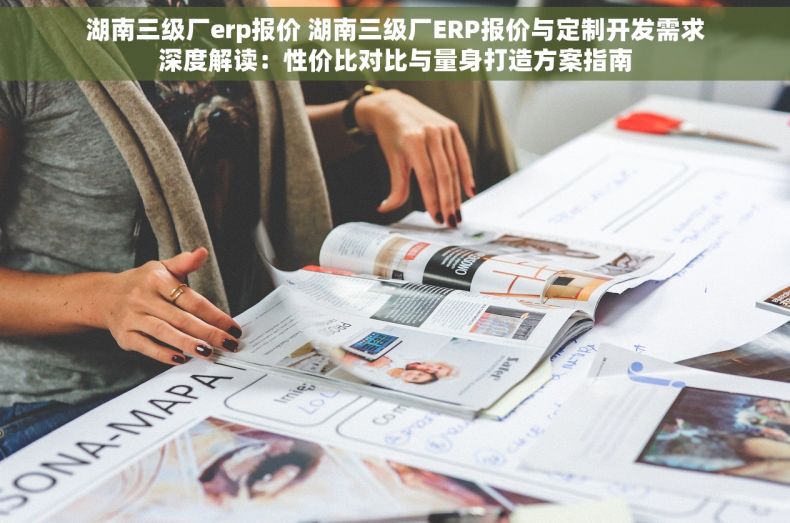 湖南三级厂erp报价 湖南三级厂ERP报价与定制开发需求深度解读：性价比对比与量身打造方案指南