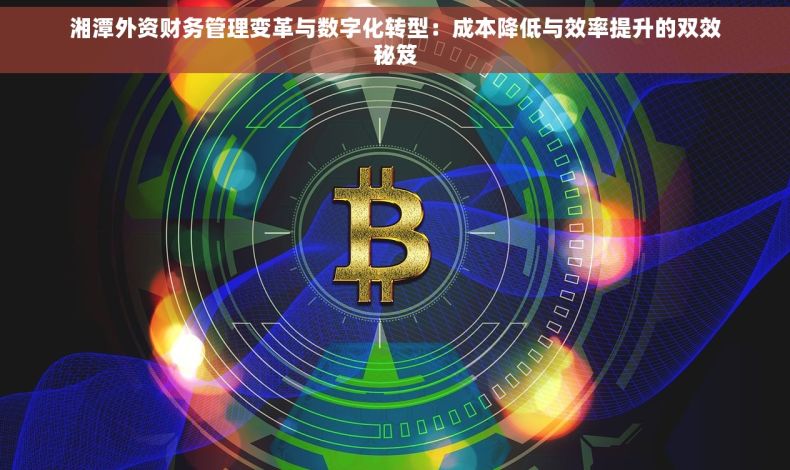湘潭外资财务管理变革与数字化转型：成本降低与效率提升的双效秘笈