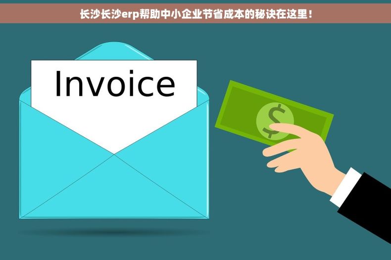 长沙长沙erp帮助中小企业节省成本的秘诀在这里！