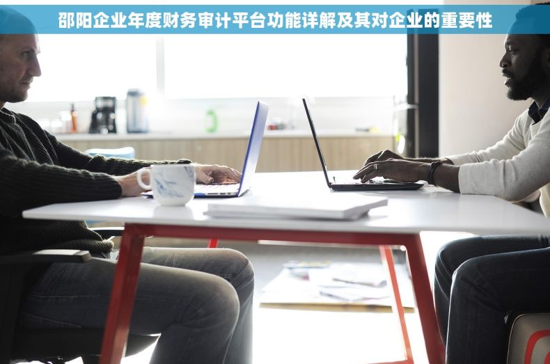 邵阳企业年度财务审计平台功能详解及其对企业的重要性