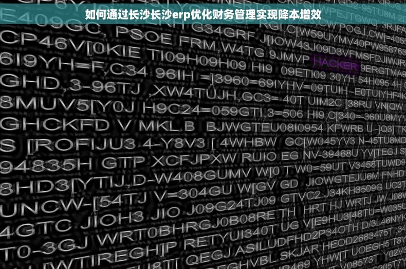 如何通过长沙长沙erp优化财务管理实现降本增效
