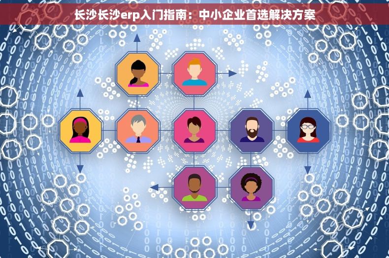 长沙长沙erp入门指南：中小企业首选解决方案