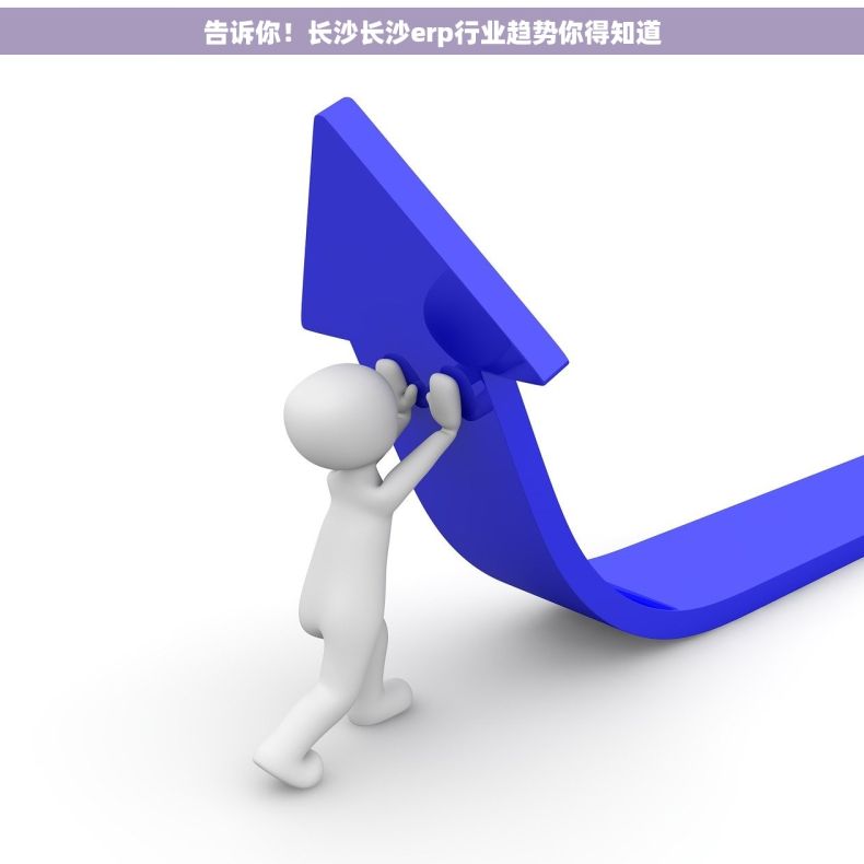 告诉你！长沙长沙erp行业趋势你得知道