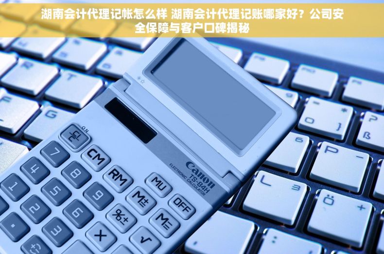 湖南会计代理记帐怎么样 湖南会计代理记账哪家好？公司安全保障与客户口碑揭秘