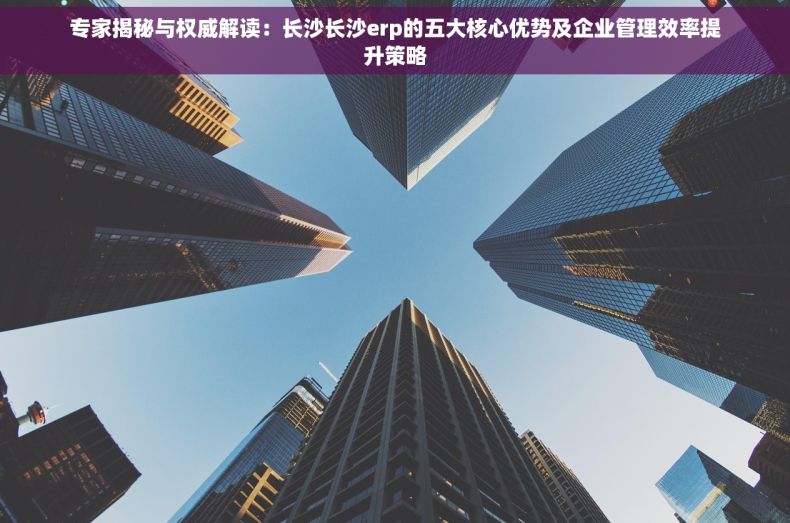 专家揭秘与权威解读：长沙长沙erp的五大核心优势及企业管理效率提升策略