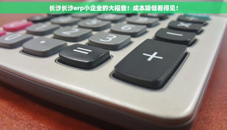 长沙长沙erp小企业的大福音！成本降低看得见！