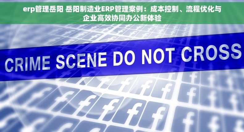 erp管理岳阳 岳阳制造业ERP管理案例：成本控制、流程优化与企业高效协同办公新体验