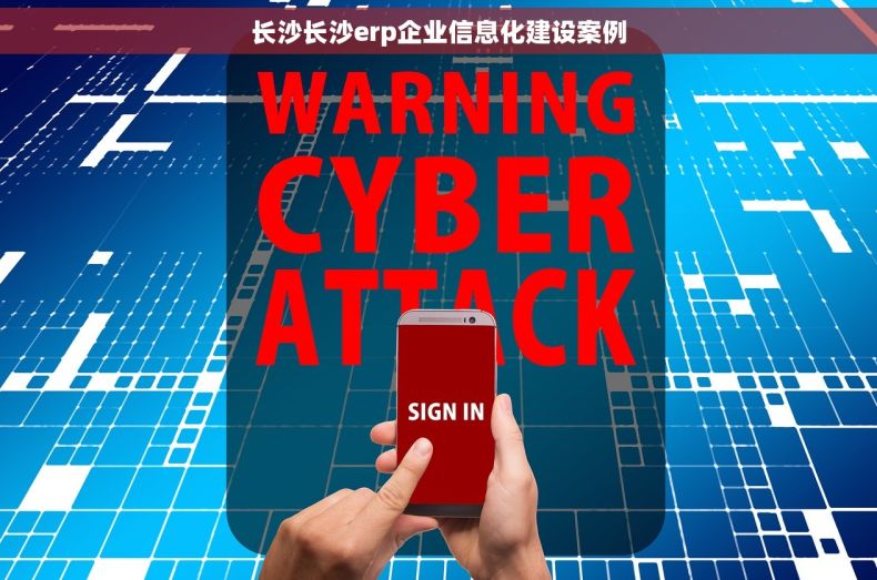 长沙长沙erp企业信息化建设案例