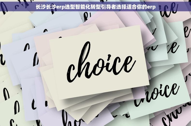 长沙长沙erp选型智能化转型引导者选择适合你的erp