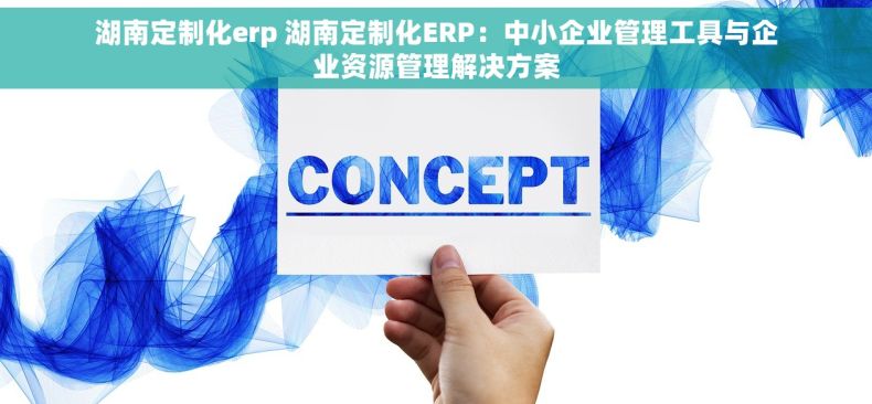 湖南定制化erp 湖南定制化ERP：中小企业管理工具与企业资源管理解决方案