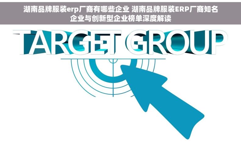 湖南品牌服装erp厂商有哪些企业 湖南品牌服装ERP厂商知名企业与创新型企业榜单深度解读