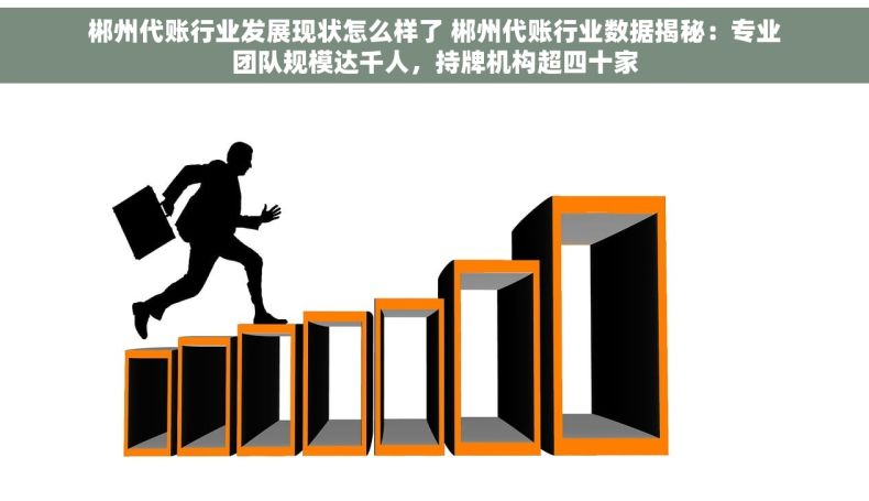 郴州代账行业发展现状怎么样了 郴州代账行业数据揭秘：专业团队规模达千人，持牌机构超四十家