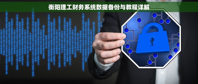 衡阳理工财务系统数据备份与教程详解
