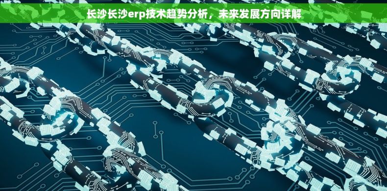 长沙长沙erp技术趋势分析，未来发展方向详解