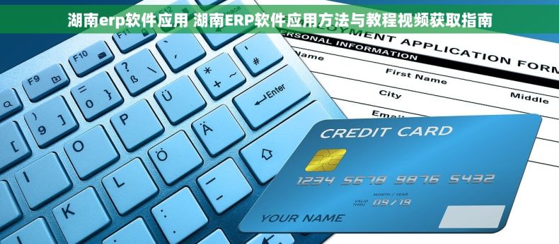 湖南erp软件应用 湖南ERP软件应用方法与教程视频获取指南