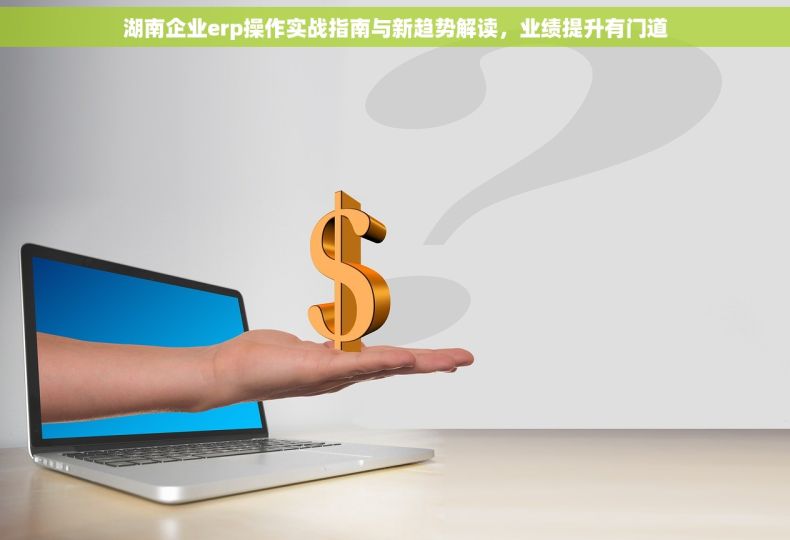湖南企业erp操作实战指南与新趋势解读，业绩提升有门道