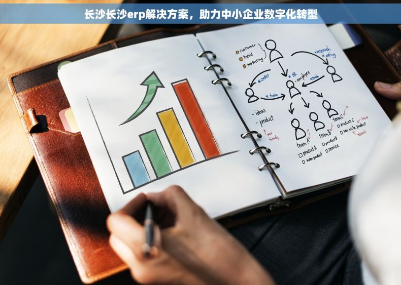 长沙长沙erp解决方案，助力中小企业数字化转型