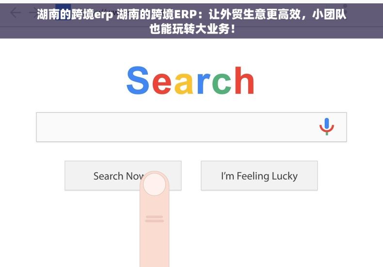湖南的跨境erp 湖南的跨境ERP：让外贸生意更高效，小团队也能玩转大业务！