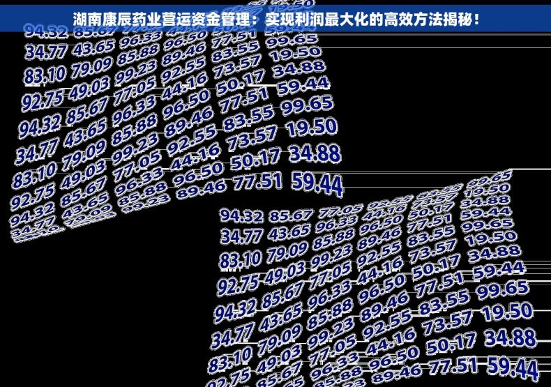 湖南康辰药业营运资金管理：实现利润最大化的高效方法揭秘！