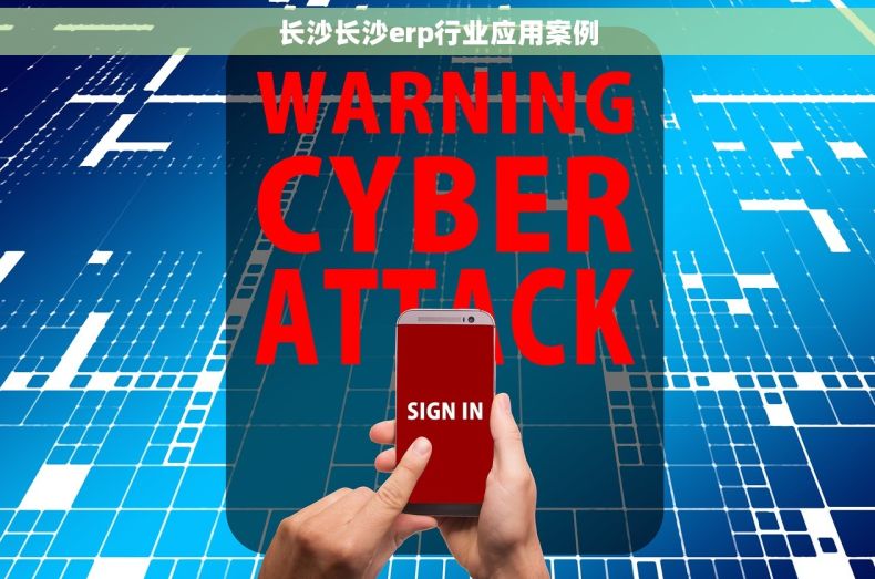 长沙长沙erp行业应用案例