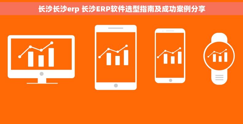 长沙长沙erp 长沙ERP软件选型指南及成功案例分享