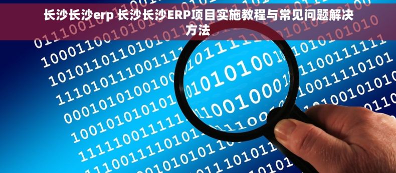 长沙长沙erp 长沙长沙ERP项目实施教程与常见问题解决方法