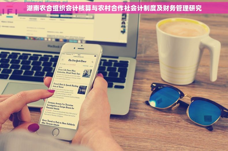 湖南农合组织会计核算与农村合作社会计制度及财务管理研究