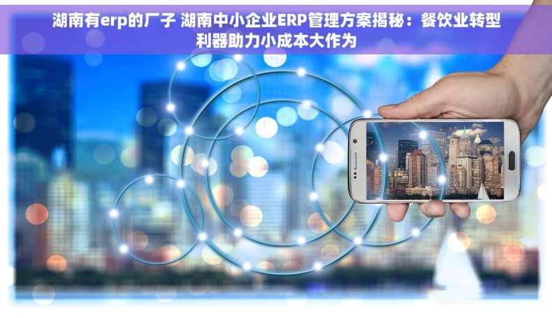 湖南有erp的厂子 湖南中小企业ERP管理方案揭秘：餐饮业转型利器助力小成本大作为