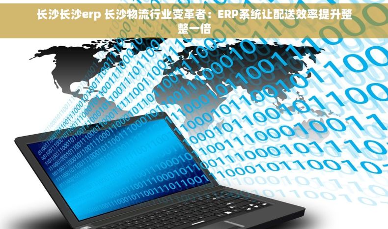 长沙长沙erp 长沙物流行业变革者：ERP系统让配送效率提升整整一倍