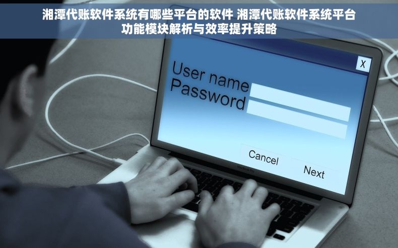 湘潭代账软件系统有哪些平台的软件 湘潭代账软件系统平台功能模块解析与效率提升策略