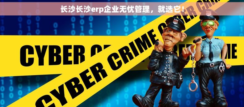 长沙长沙erp企业无忧管理，就选它！