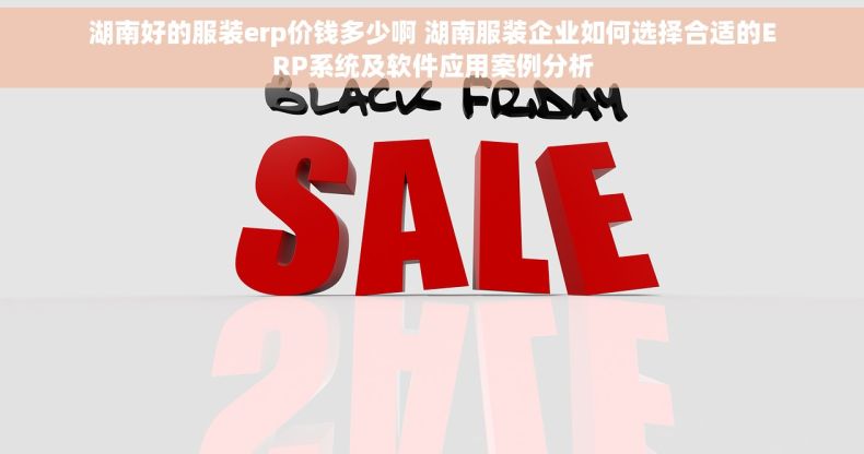湖南好的服装erp价钱多少啊 湖南服装企业如何选择合适的ERP系统及软件应用案例分析
