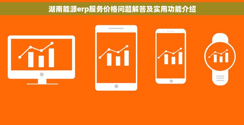 湖南能源erp服务价格问题解答及实用功能介绍