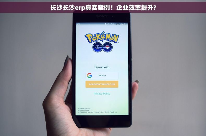 长沙长沙erp真实案例！企业效率提升?