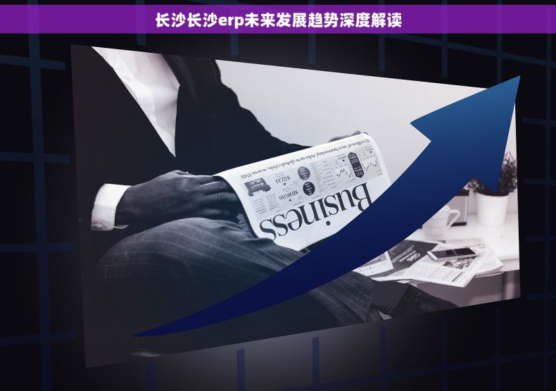 长沙长沙erp未来发展趋势深度解读