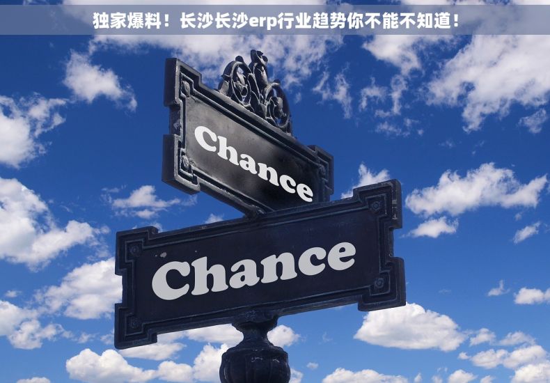 独家爆料！长沙长沙erp行业趋势你不能不知道！