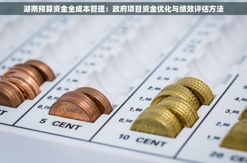 湖南预算资金全成本管理：政府项目资金优化与绩效评估方法
