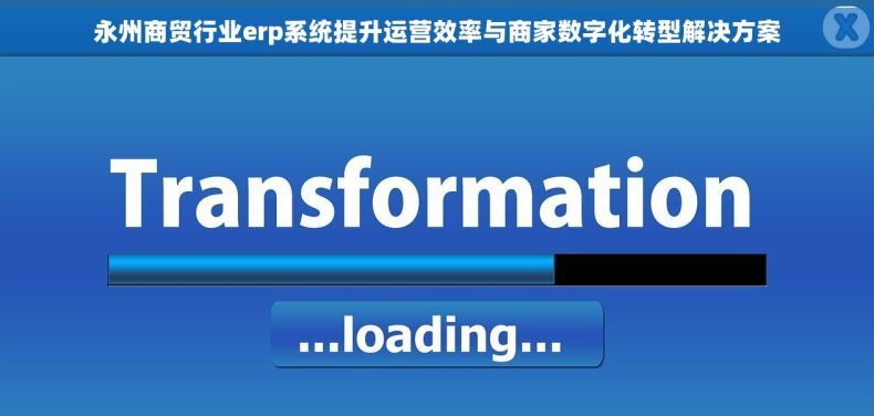 永州商贸行业erp系统提升运营效率与商家数字化转型解决方案
