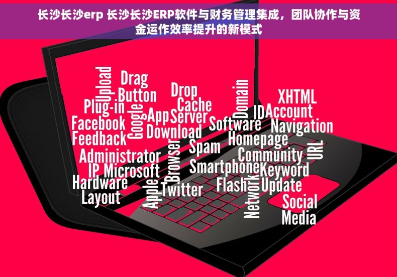 长沙长沙erp 长沙长沙ERP软件与财务管理集成，团队协作与资金运作效率提升的新模式