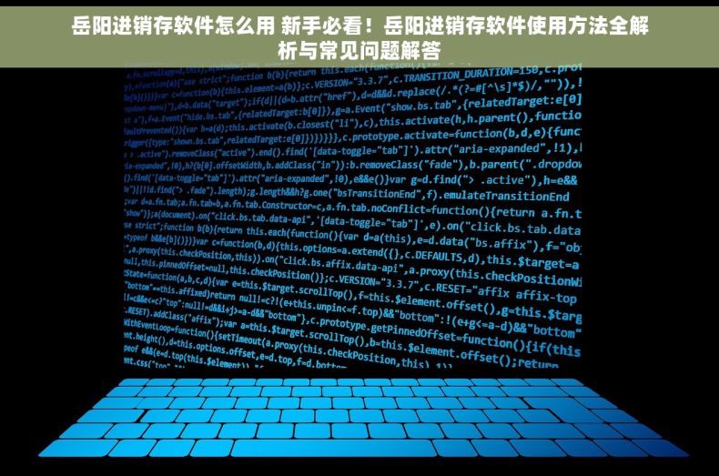 岳阳进销存软件怎么用 新手必看！岳阳进销存软件使用方法全解析与常见问题解答