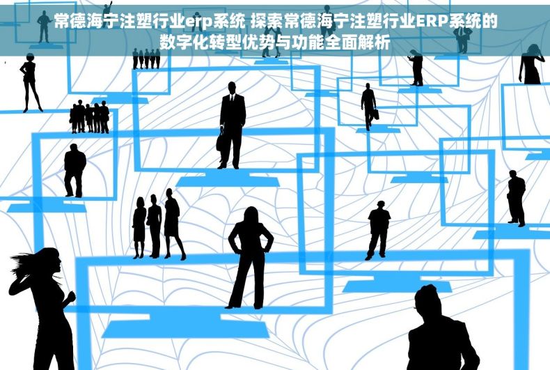 常德海宁注塑行业erp系统 探索常德海宁注塑行业ERP系统的数字化转型优势与功能全面解析