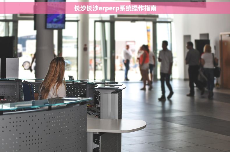 长沙长沙erperp系统操作指南