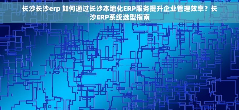 长沙长沙erp 如何通过长沙本地化ERP服务提升企业管理效率？长沙ERP系统选型指南