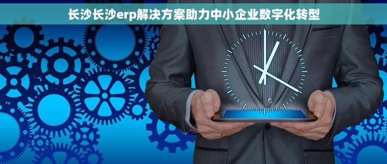 长沙长沙erp解决方案助力中小企业数字化转型