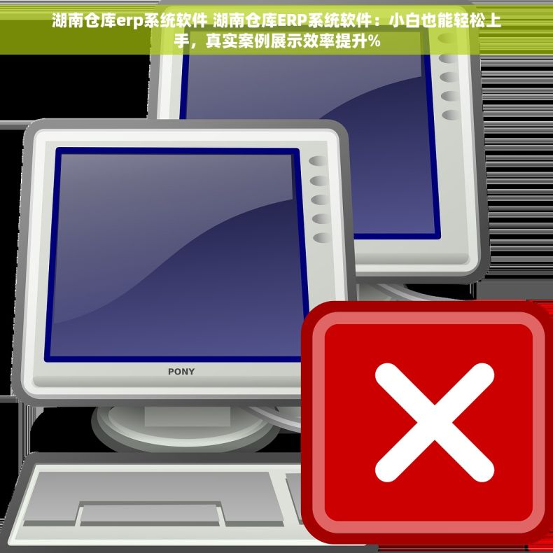 湖南仓库erp系统软件 湖南仓库ERP系统软件：小白也能轻松上手，真实案例展示效率提升%