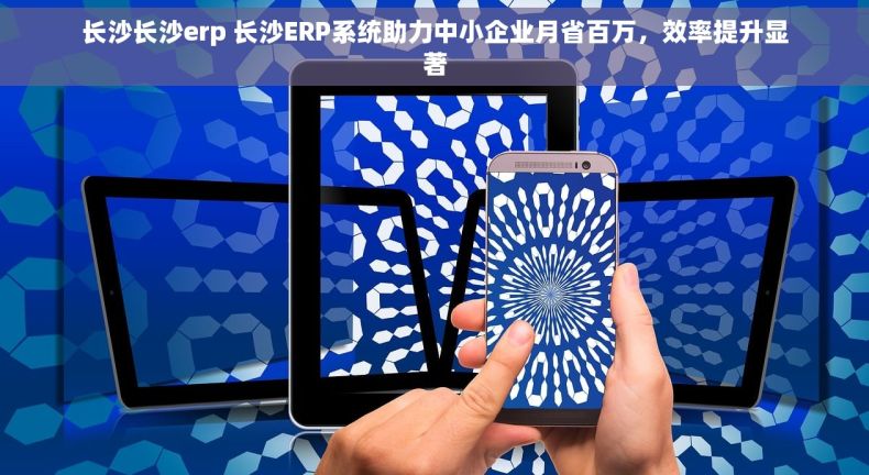 长沙长沙erp 长沙ERP系统助力中小企业月省百万，效率提升显著
