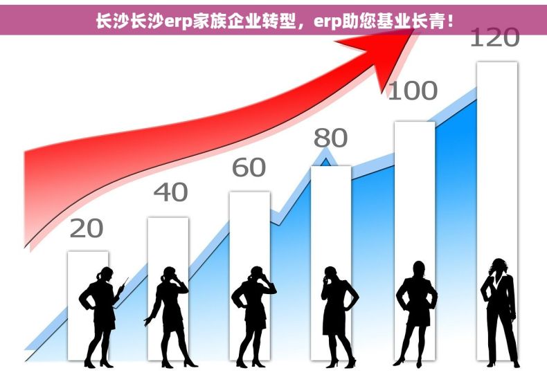 长沙长沙erp家族企业转型，erp助您基业长青！